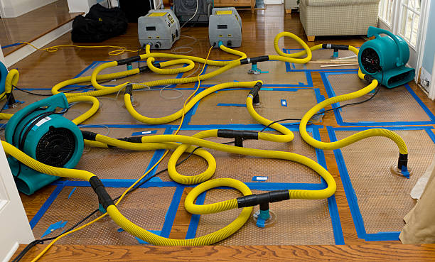 Professional Water Damage Repair technician working in Inwood, NY